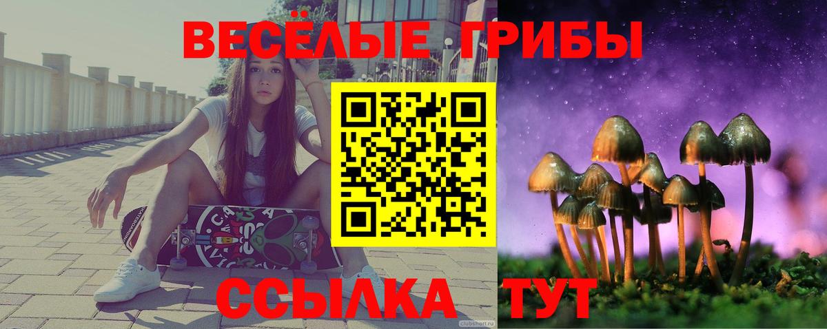 Галлюциногенные грибы Psilocybine cubensis Верхняя Салда