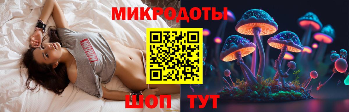 Галлюциногенные грибы MAGIC MUSHROOMS  Псилоцибиновые грибы прущие грибы  Верхняя Салда  Вход с VPN 